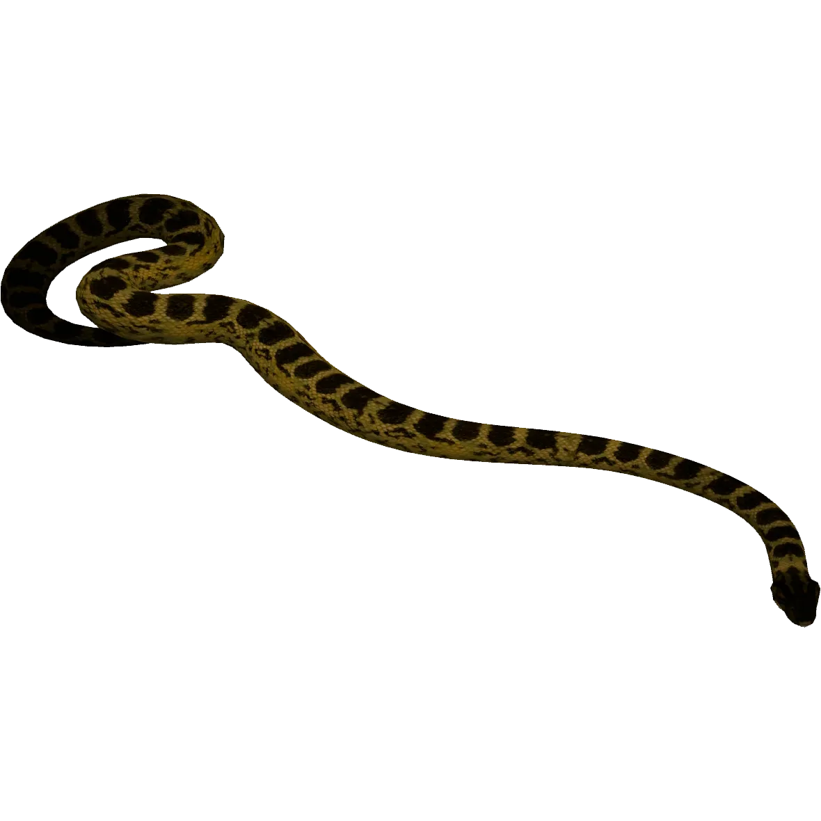 anaconda shedding skin, transformation process, wild nature png